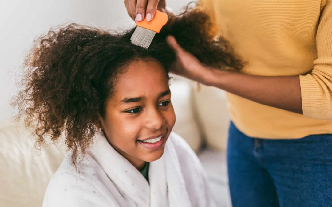 Head Lice: How to Prevent & Treat These Hair Pests!