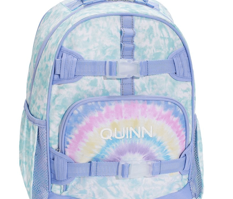 Pre-K to High School: 8 Must Have Backpacks and Lunch Boxes