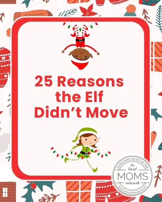 25 Reasons The Elf Didn’t Move