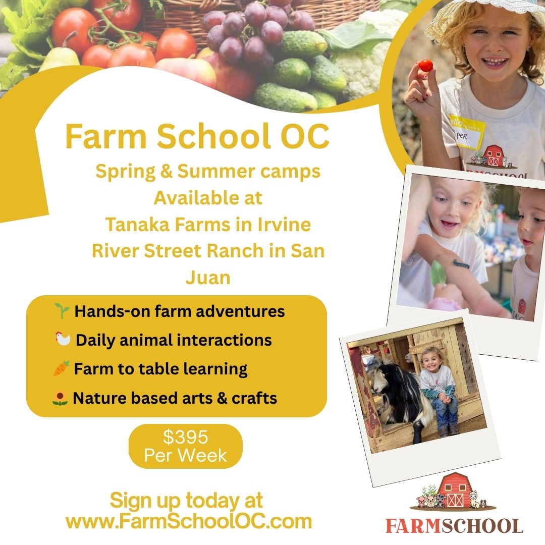 Oc Summer Camps